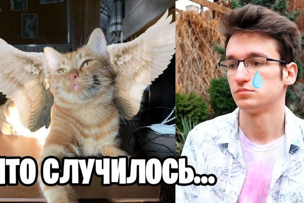 Кракен ссылки krakenwebs org